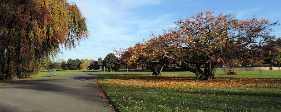 009 Cologne Rhinepark