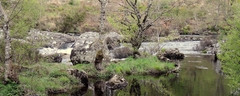 016 Rogie Falls Reflections