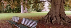 027 Brodie Castle Grounds